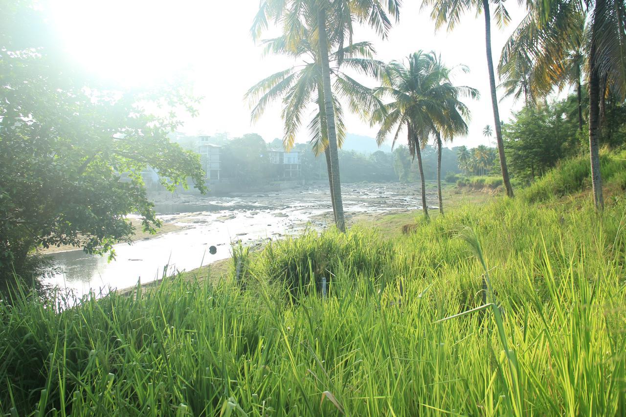 Ma Oya Retreat Pinnawala Pinnawala (Kegalle) Bagian luar foto