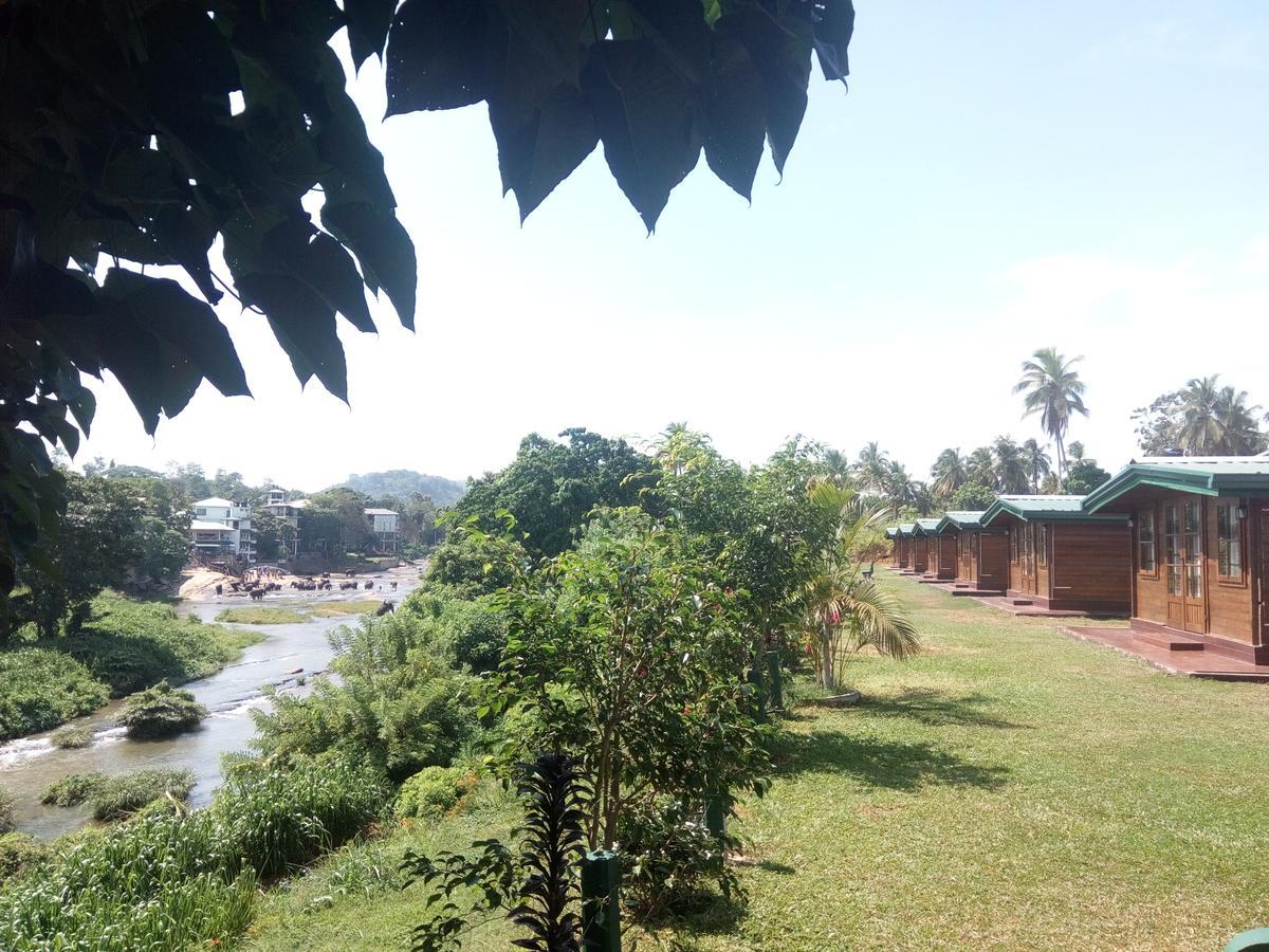 Ma Oya Retreat Pinnawala Pinnawala (Kegalle) Bagian luar foto