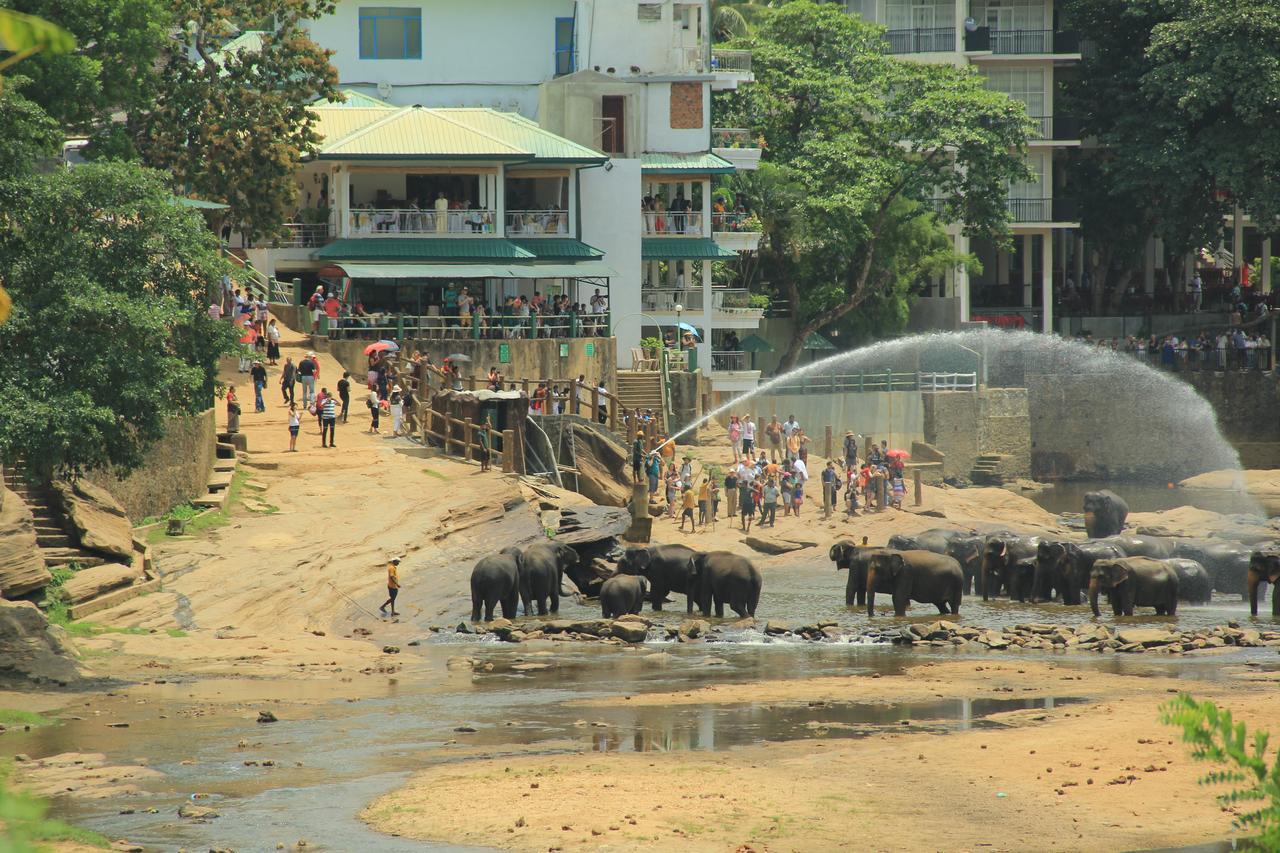 Ma Oya Retreat Pinnawala Pinnawala (Kegalle) Bagian luar foto