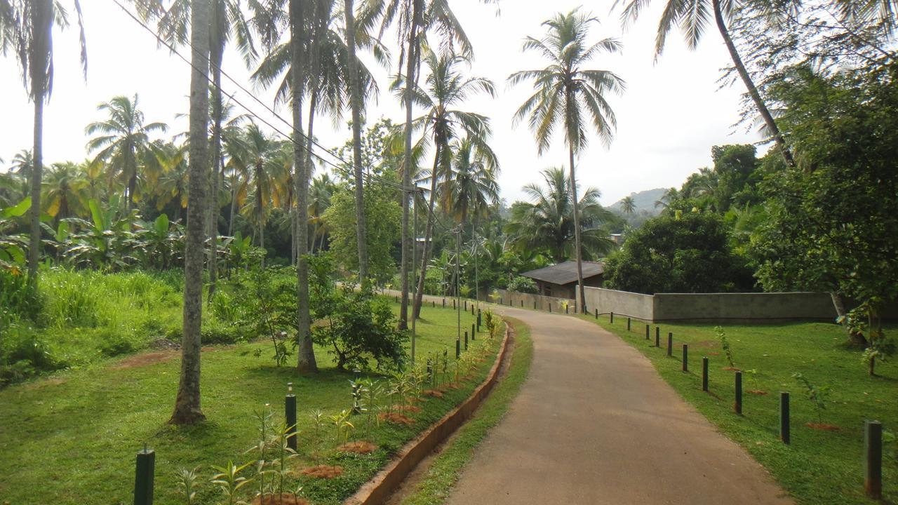 Ma Oya Retreat Pinnawala Pinnawala (Kegalle) Bagian luar foto