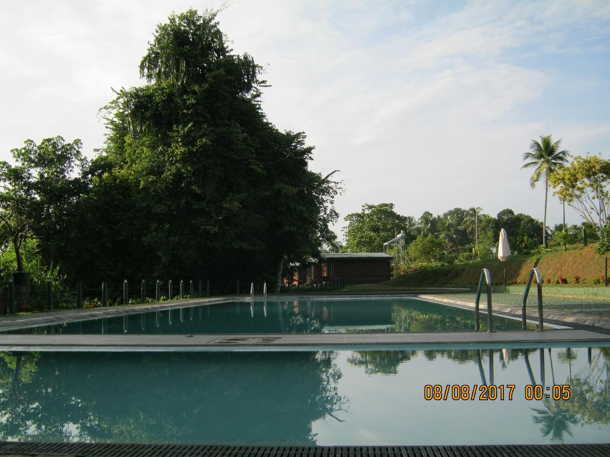 Ma Oya Retreat Pinnawala Pinnawala (Kegalle) Bagian luar foto